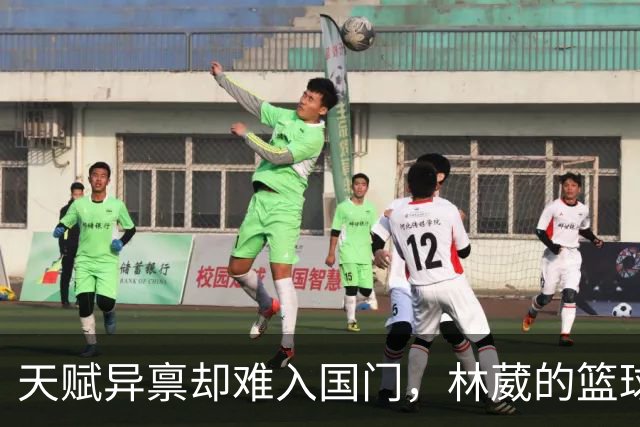 天赋异禀却难入国门，林葳的篮球之路何去何从？