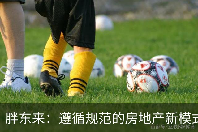 胖东来：遵循规范的房地产新模式，令土木专家刮目相看